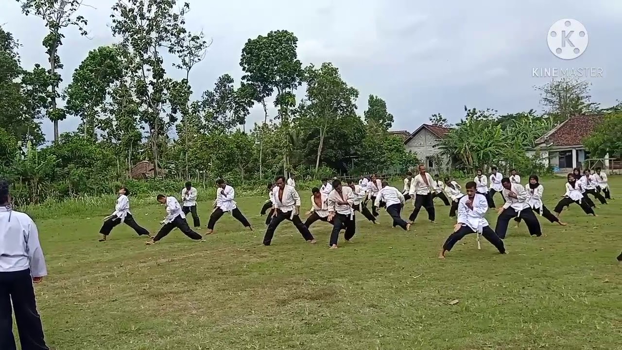 senam jurus perguruan ilmu seni beladiri BINTANG SURYA