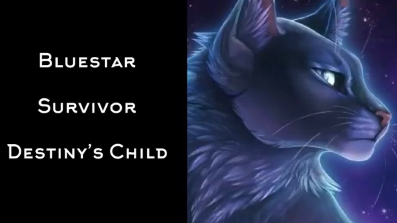 Songs that fit the Warrior Cats Part One!