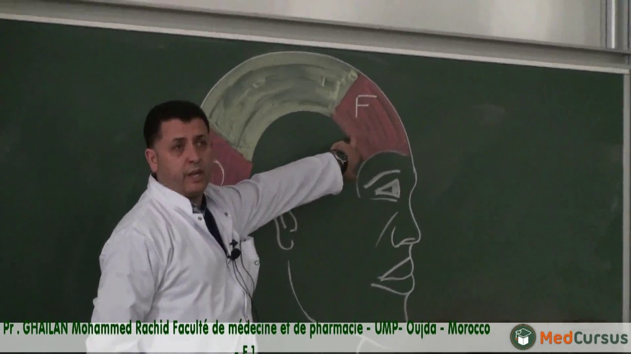 Les muscles de la Face - Partie 1 - : Pr.  GHAILAN  Mohammed Rachid fac de médecine oujda