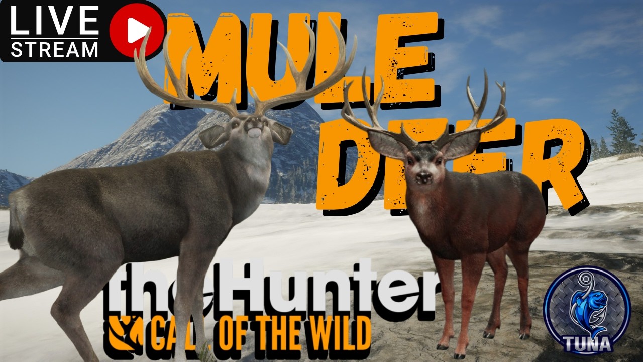 1900+ Into The Mule Deer Grind!! Will We Get Him Today? TheHunter:Call Of The Wild [LIVE] [PORTRAIT]