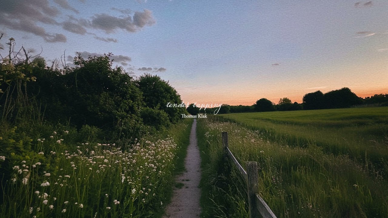 a playlist for quiet summer evenings