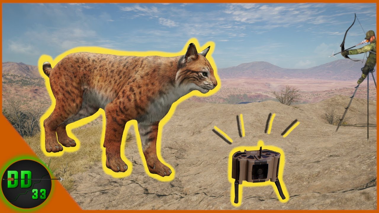 Calling In MONSTER BOBCAT with The New Electronic Caller! Call Of The Wild