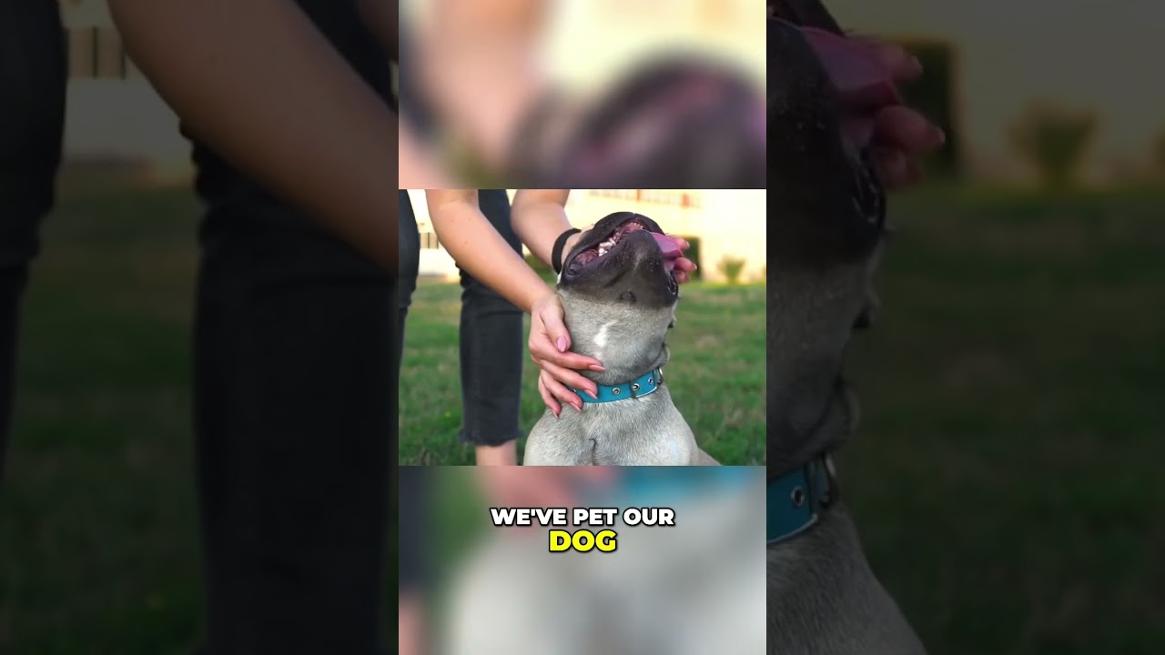 🐾 Earthing 101: Your pet is a grounding buddy!