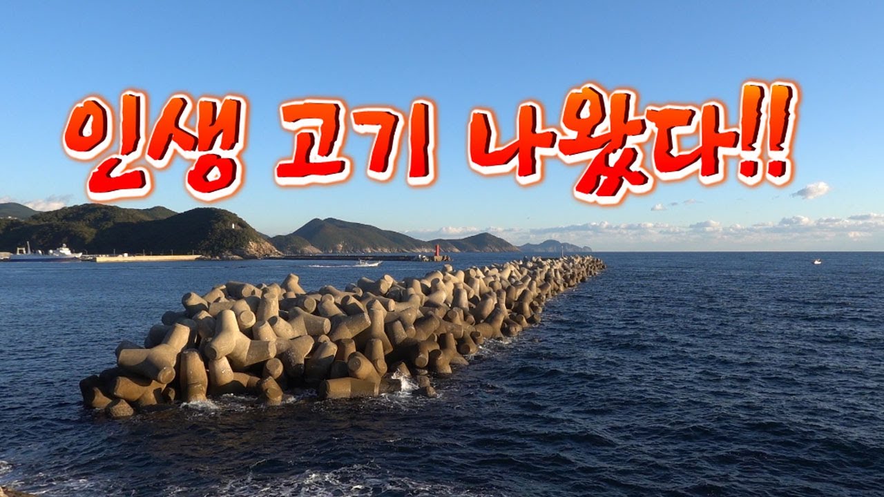 너가 갑자기 왜나오니?? 100 만원짜리 대물이 덜컥 나왔다!!/Winning gold with a fishing contest!