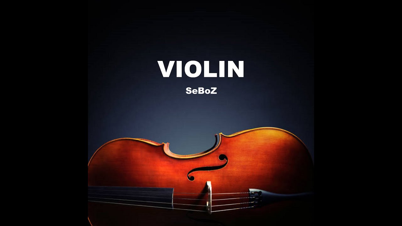 SeBoZ-Violin-2023