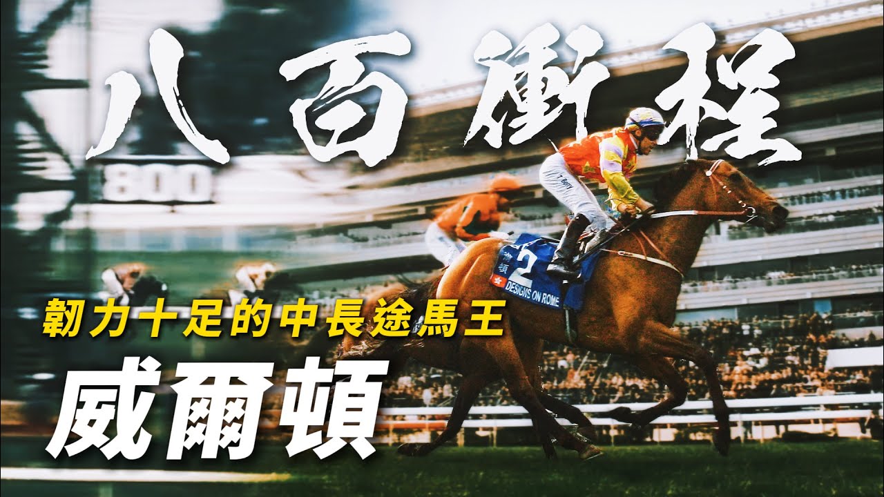 超強800米衝程！天分與鬥志兼備的中長途馬王｜威爾頓｜莫雷拉跑錯驚被約翰摩亞換走｜「爪皇凌雨」後史上第二匹完成香港2000米一級賽大滿貫賽駒｜#賽馬物語