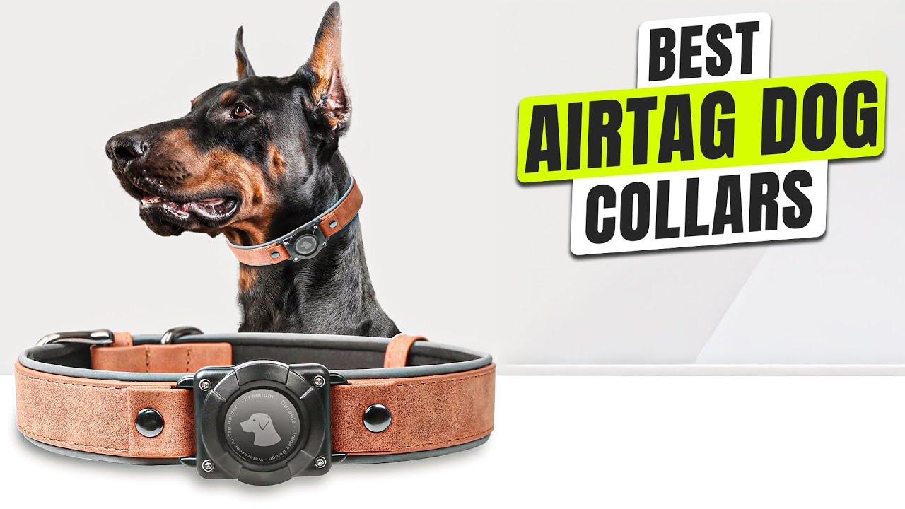 3 BEST Airtag Dog Collar - Don&rsquo;t Let Your Dog Disappear Without a Trace!