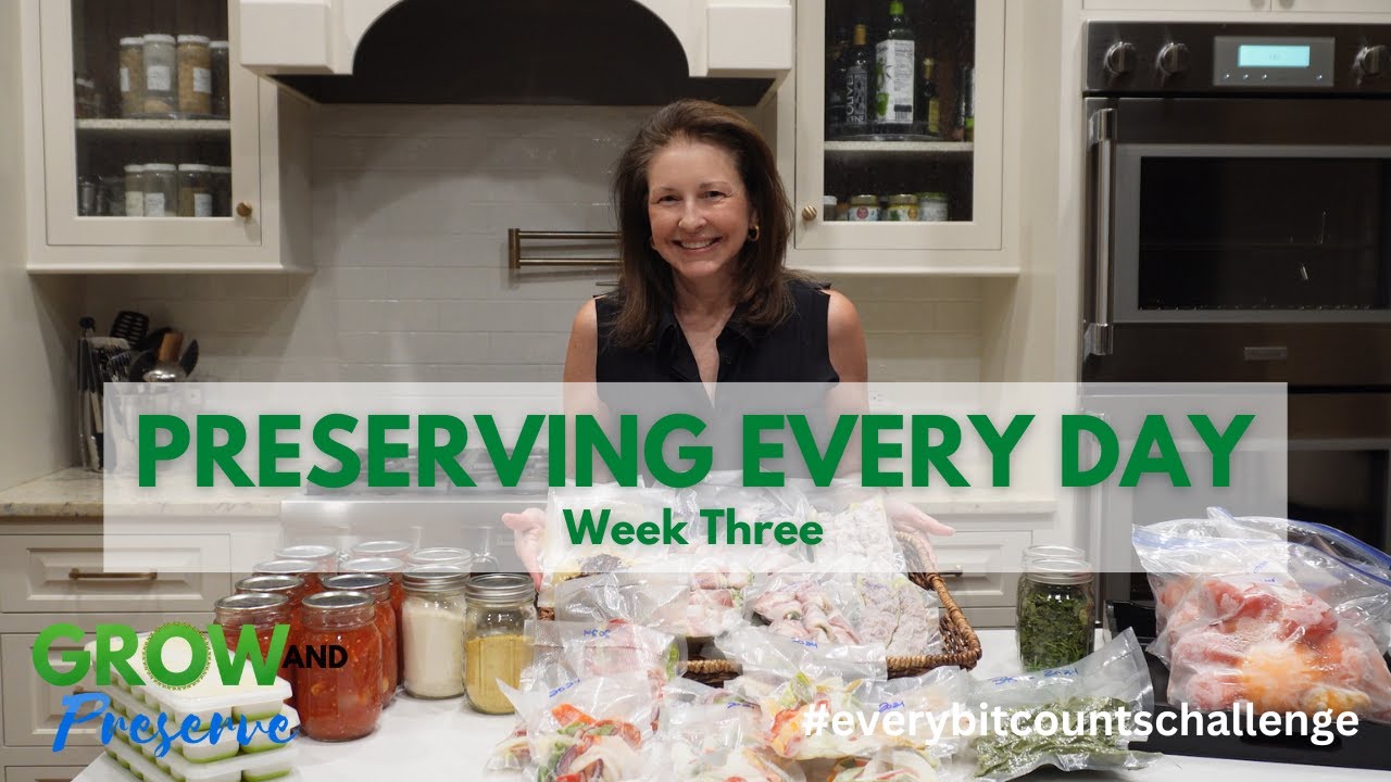 Preserve Something Every Day | Every Bit Counts Challenge | Week 3
