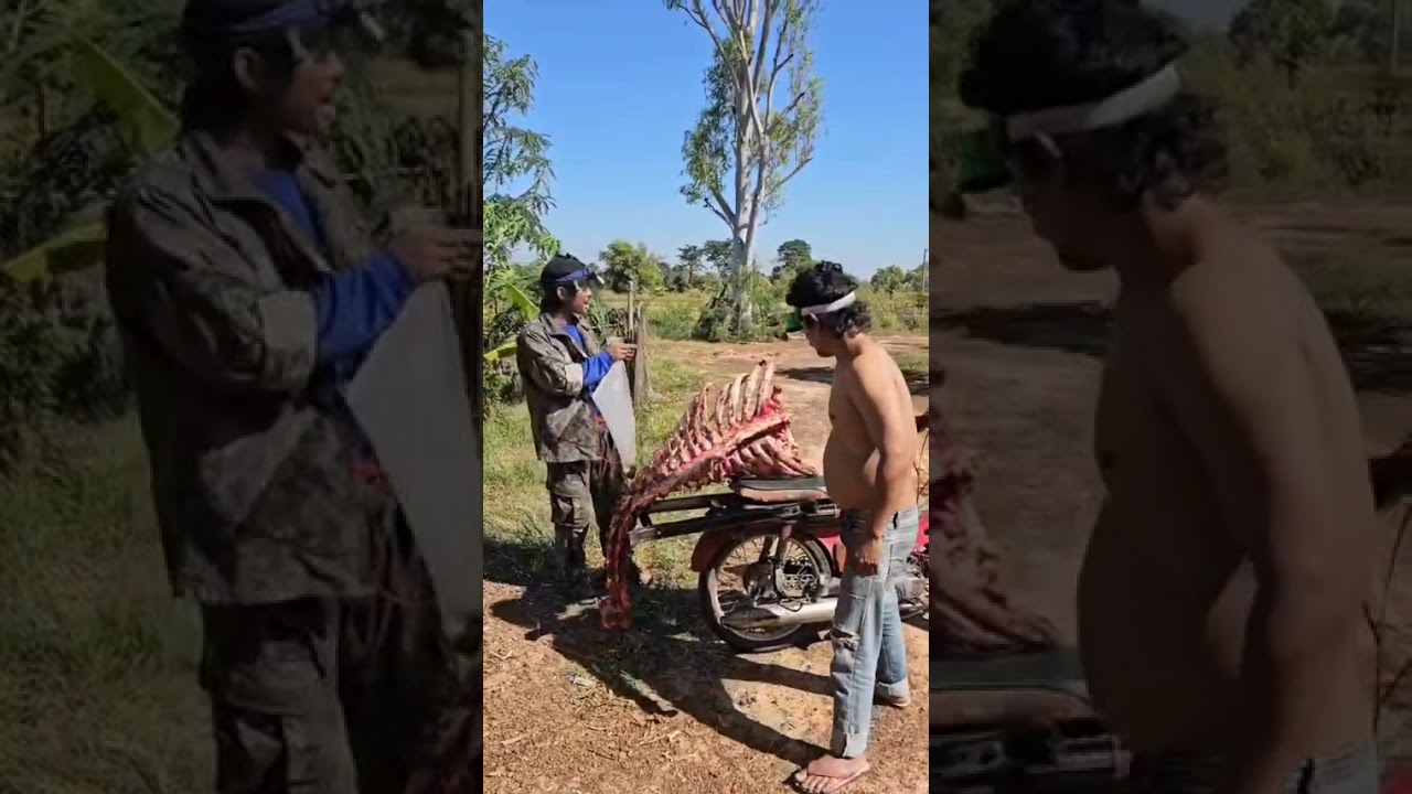 ซี่โคงม้ามาฝากอ้าย