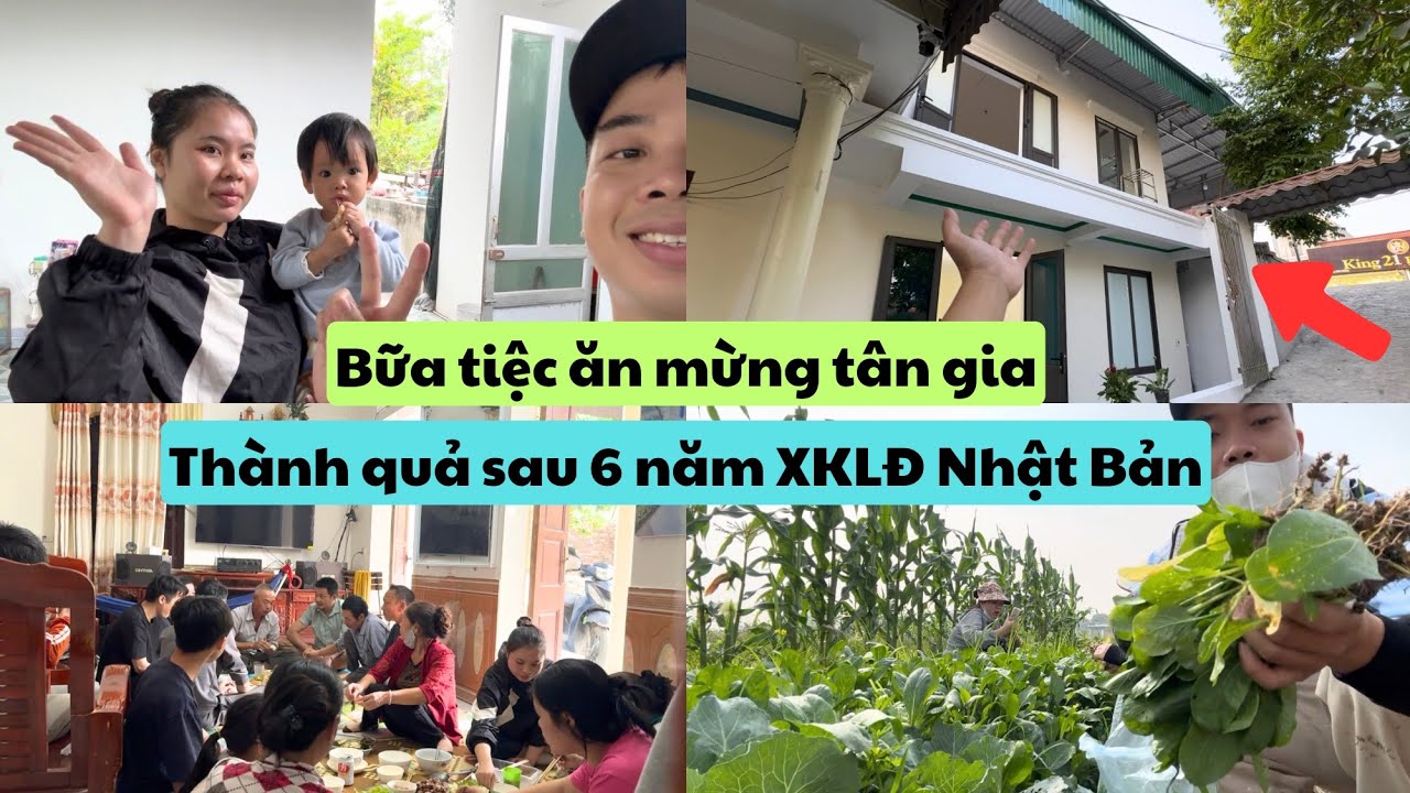 602 | Bữa Tiệc Ăn Mừng Tân Gia Nhà Mới - Một Ngày Đi Thu Hoạch Rau Cùng Vợ Và Em Gái | Đức Thư