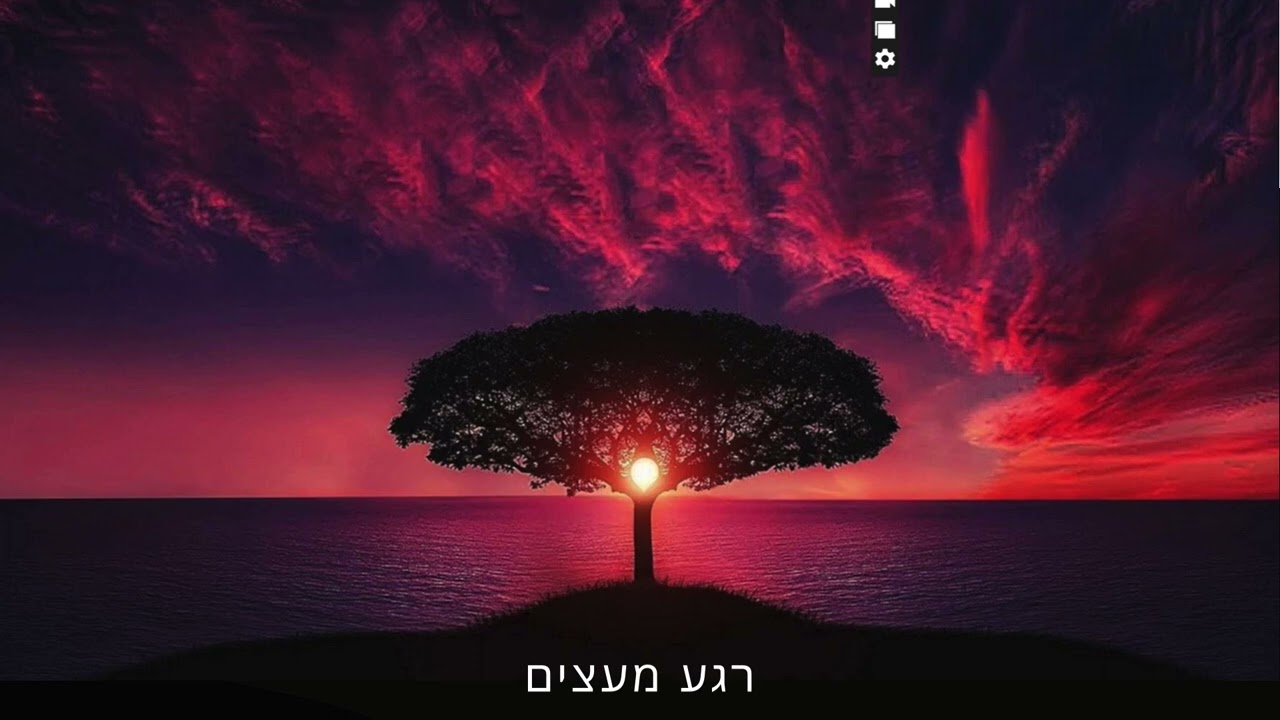 הדרך: מה שלימד הבודהה מעבר למיינדפולנס | עם ד