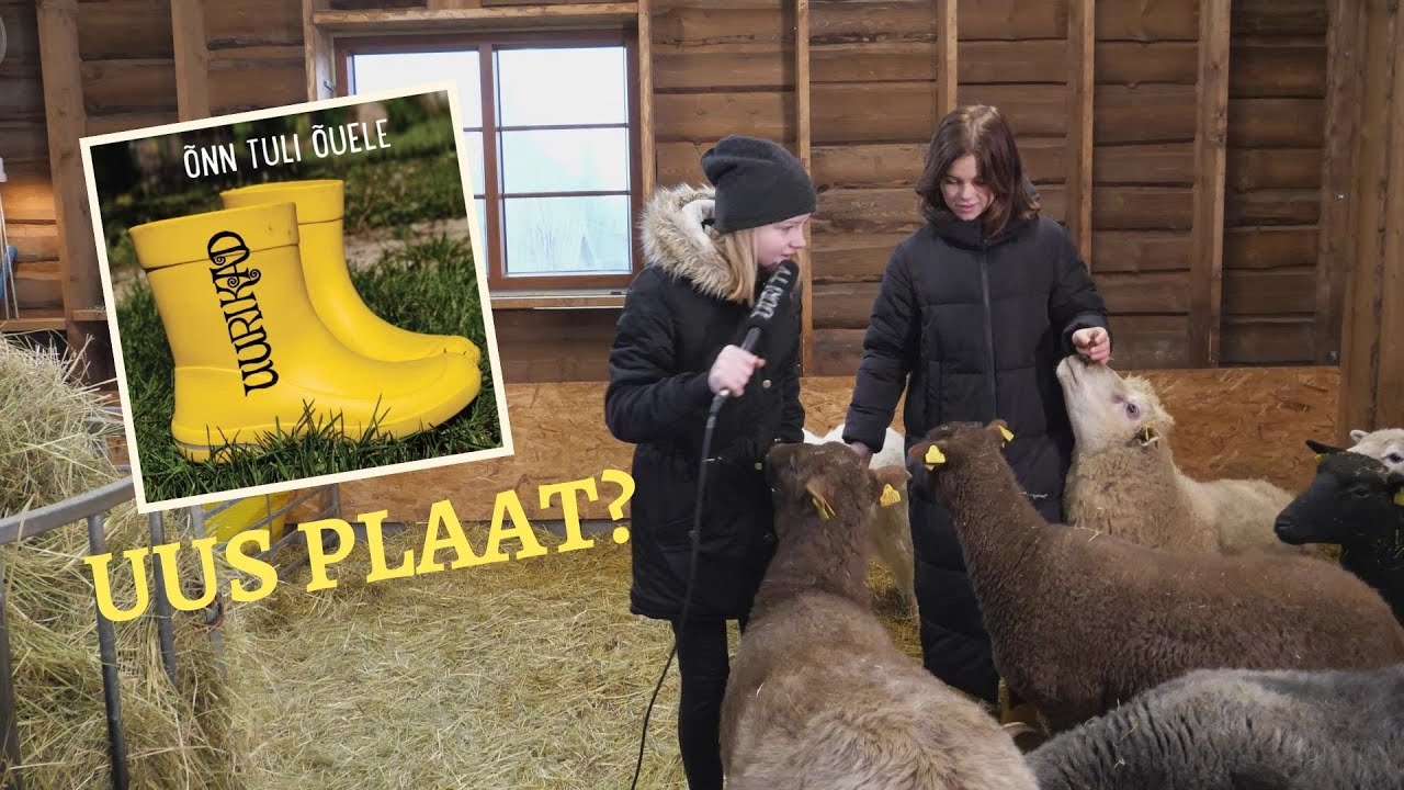 Kas tõesti on UUS ALBUM juba SAADAVAL? Uuri TV uurib!