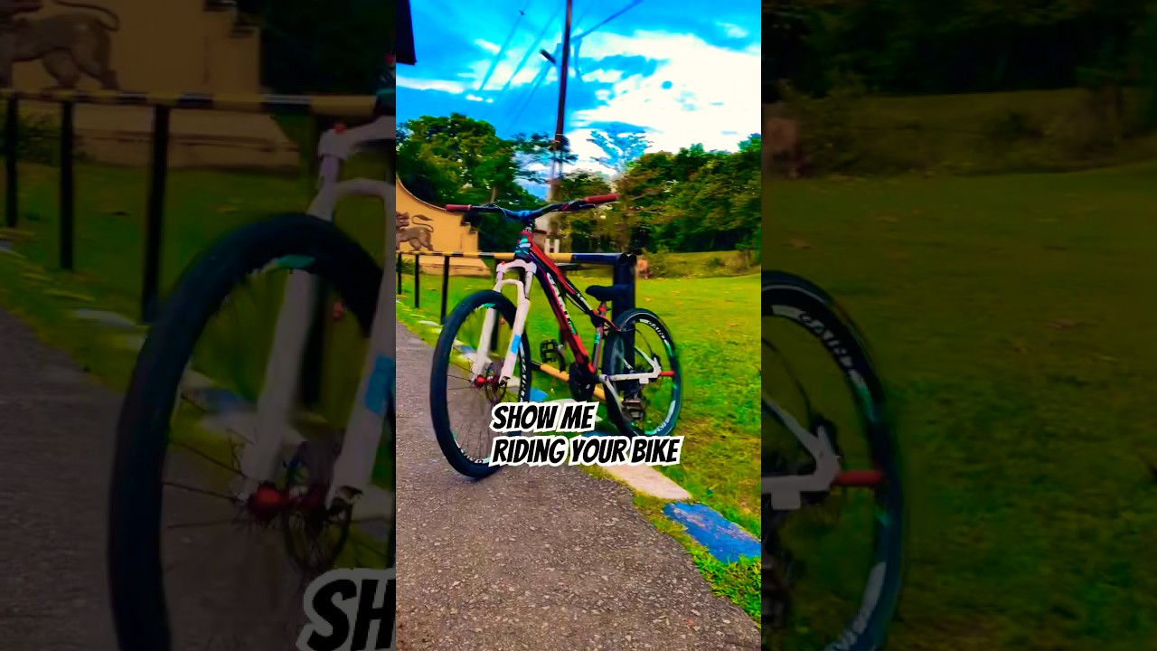 MTB stunt in Sri Lanka 🇱🇰#trending #dirtjump #srilanka #mtbstunt #viralvideo