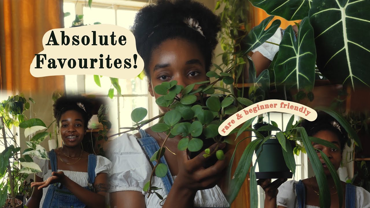 My Top 10 Indoor Plants for 2025 🌱💭🍵 | Cozy Plant Channel🌿