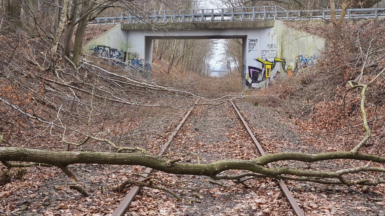 Linia kolejowa nr 234 rewitalizacja Gdańsk Kokoszki Leźno bajpas kartuski w budowie  2022 🛤⚒🚧