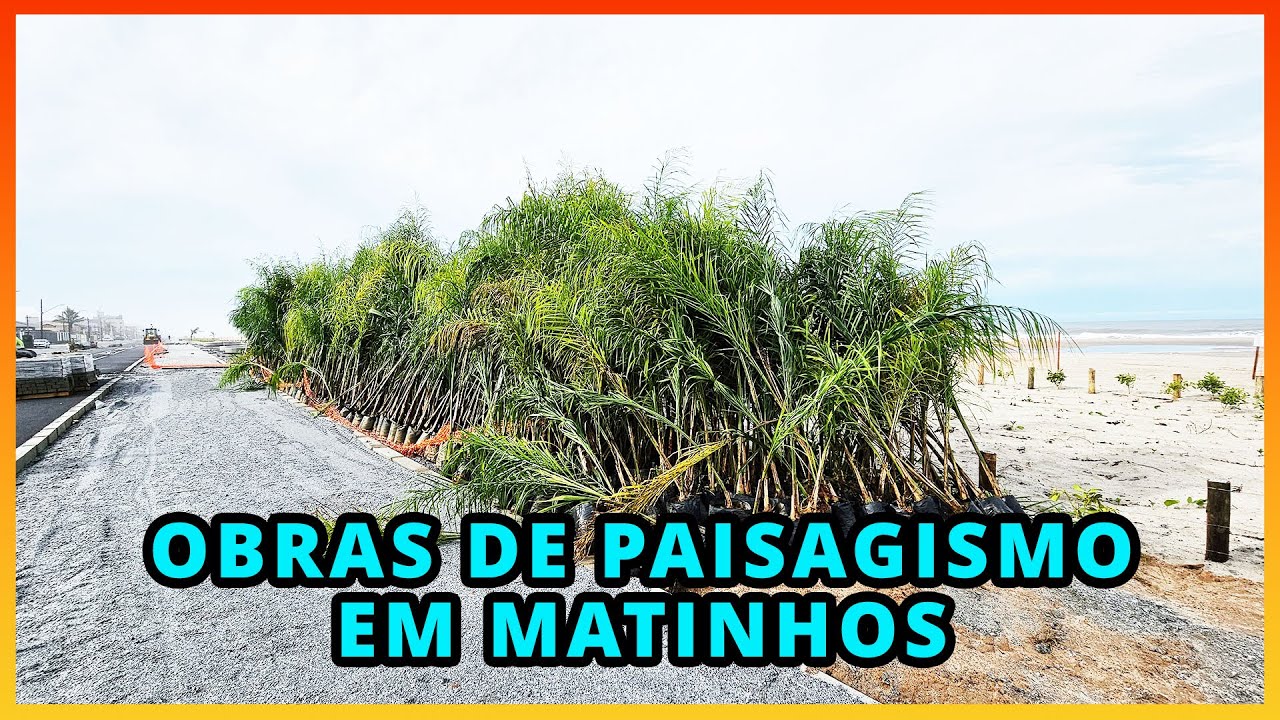 Paisagismo | 🌴Palmeiras de Jerivá Na Orla de Matinhos/PR Sendo Plantadas 🌴