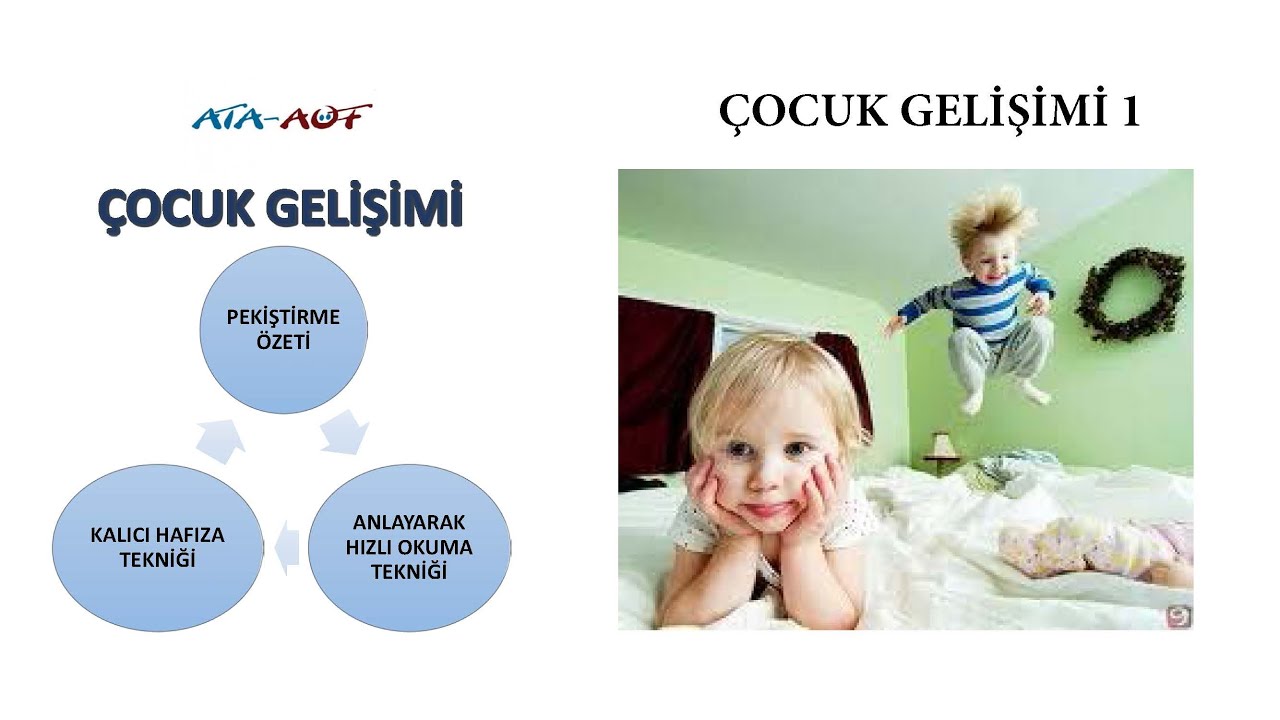 Çocuk Gelişimi 1 (Vize Sınavına Hazırlık)