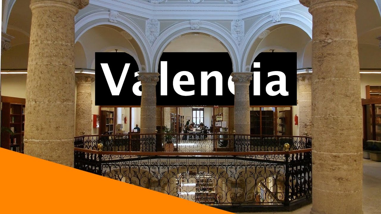 Tiermedizin studieren in Valencia, Spanien - Alle Vor- und Nachteile im Interview mit Carolina