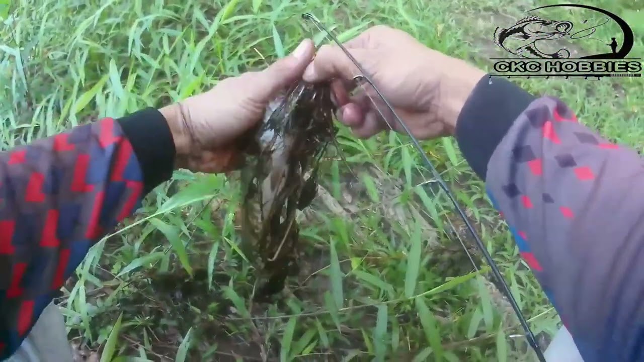 Trip pagi hari watu singkat hanya dapat 2 poin tetap bersyukur kawan terus berjuang