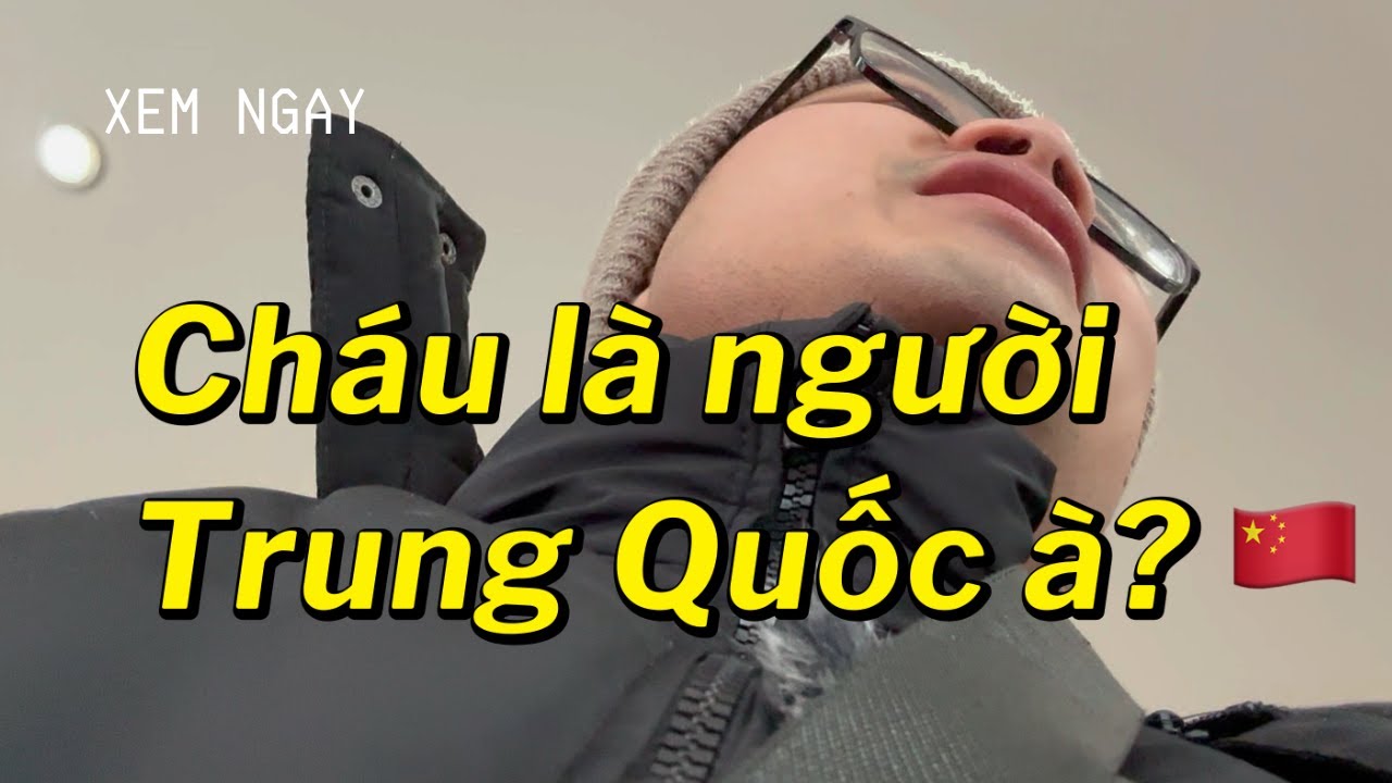 Đi Chợ Ở Đức: Một Tuần Ăn Uống Tốn Bao Nhiêu Tiền? | Đức Vet