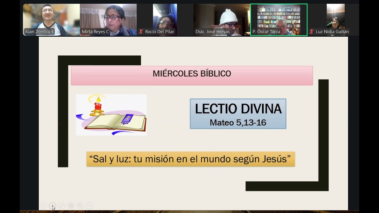 Sal y luz del mundo: la misión del cristiano que transforma la historia. Mt 5,13-16 (171)