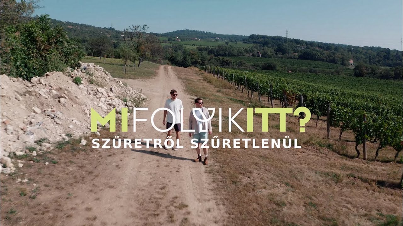 Mi folyik itt? I. epizód: Balatonfüred-Csopaki borvidék