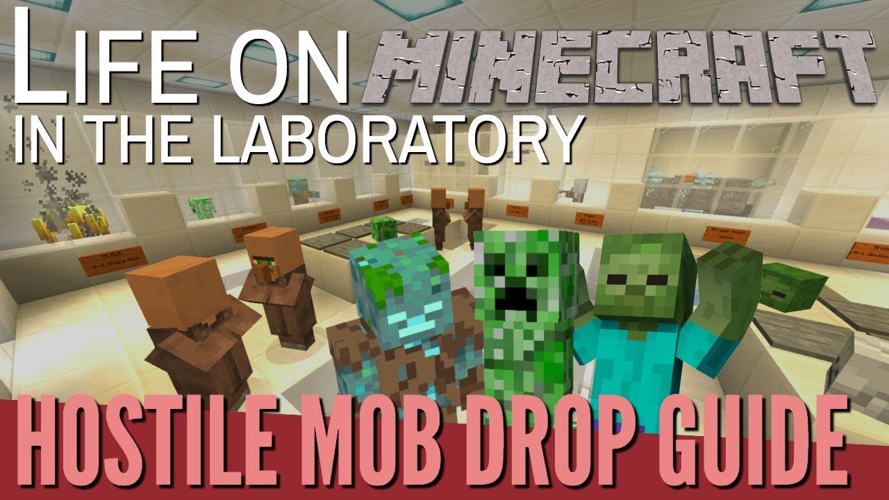 Minecraft: What Do Mobs Drop? | Life on Minecraft: Guide to Hostile Mob Drops & Loot (Avomance 2019)
