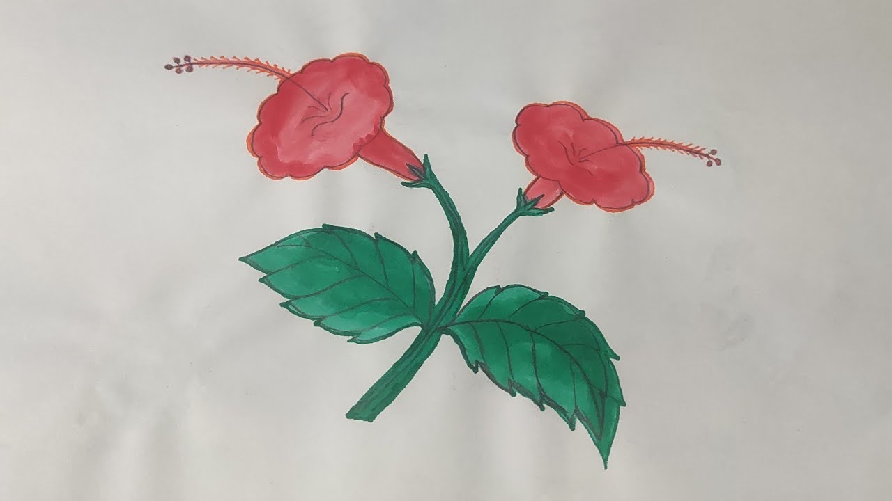 Gudhal Ka Phool💐💐#drawing #art #arttrick #colorpencilart #art #acrylicscenery #beginnerarttips 
