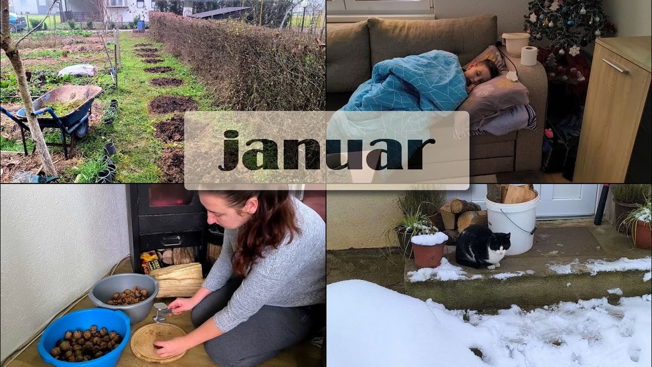 Zimski poslovi u bašti prije snijega; januarski dani, brzi obroci i bolovanja