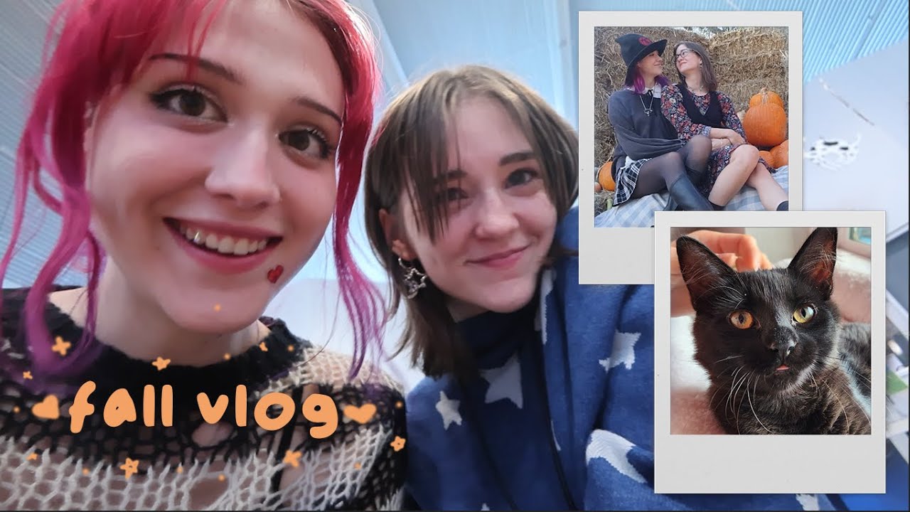 adopting a kitten and being fall gays