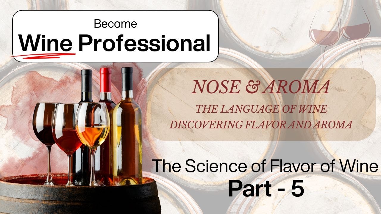 Understanding Wine Flavor: Taste, Smell and Texture | The Science of Flavor | The Language of Wine