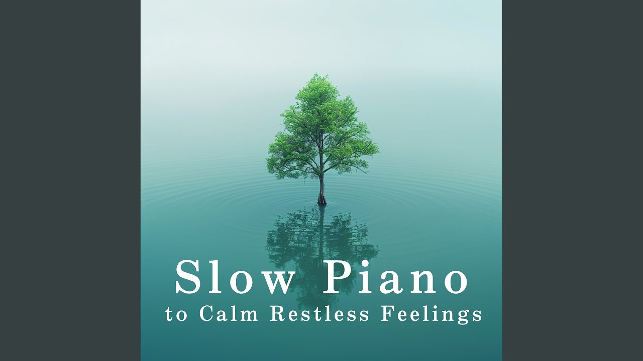 Embracing Calmness Within