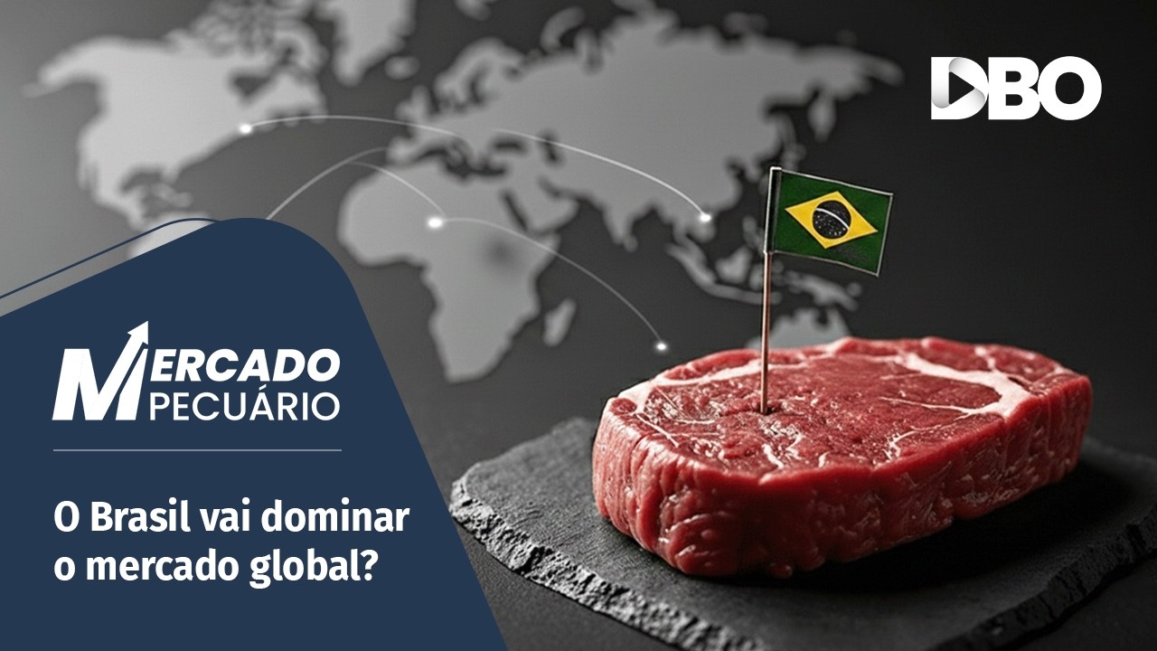 Exportações de carne bovina: até onde vai a força do Brasil?