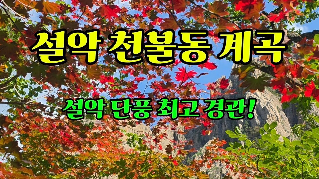 아름다움의 극치! 설악 천불동계곡 (소공원~비선대~희운각대피소)