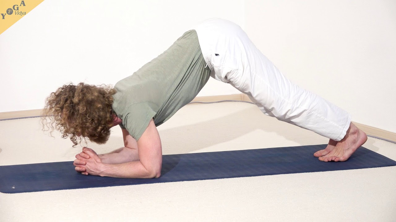 Delfin - Yoga Asana Lexikon