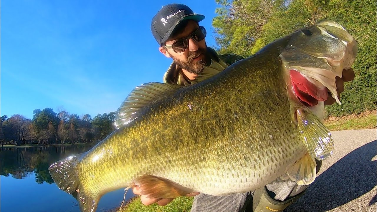 It FINALLY HAPPENED!! (On 4 Lb line)