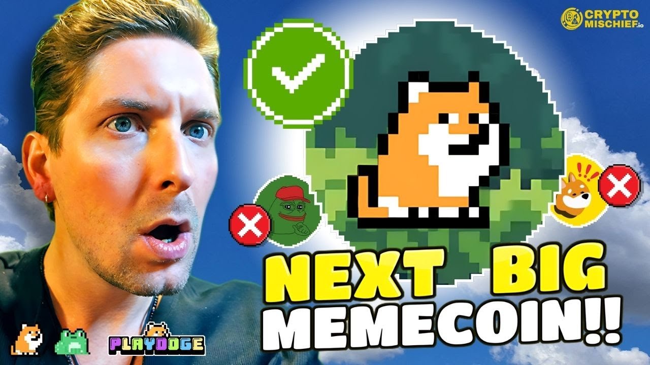 PLAY 2 EARN MEMECOIN: IS PLAYDOGE THE NEXT BIG CRYPTO GAME?