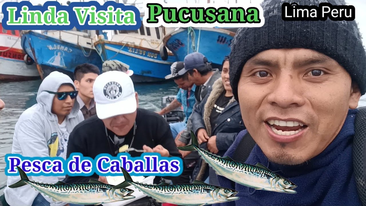 Linda pesca de Caballas  en Pucusana Lima Peru