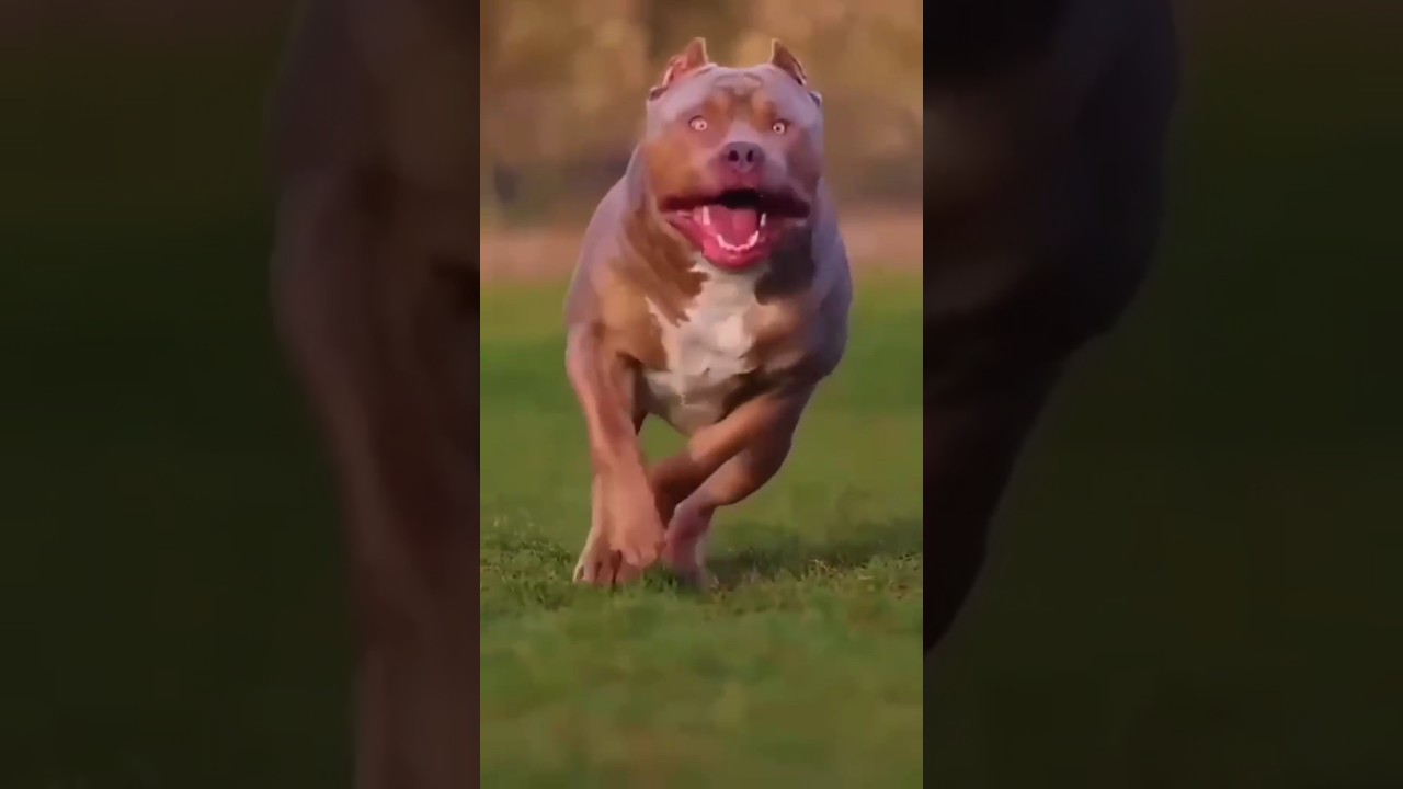dog attack save child #army #commando #foryou #viral #fyp #followforfollowback #shorts