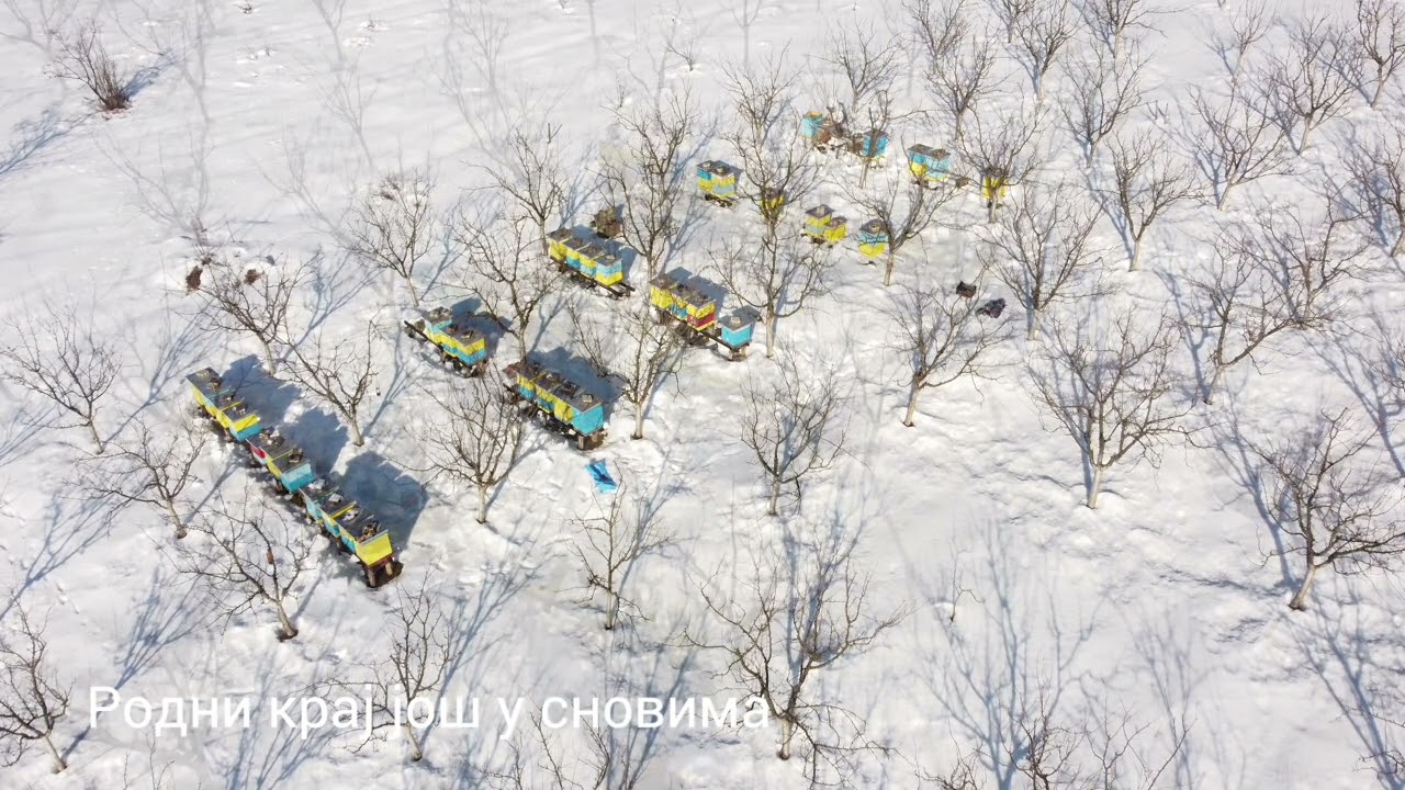 Rodni kraj još u snovima