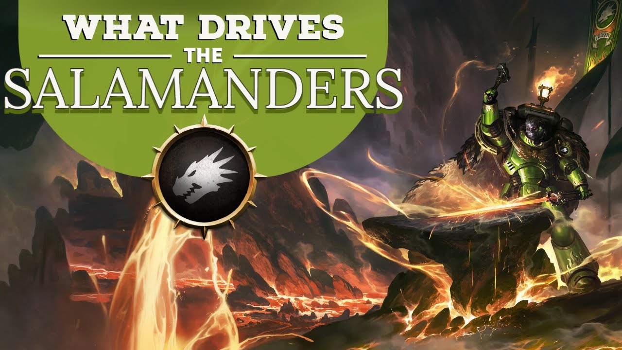 Everything You Need to Know About The Salamander | Ep.51