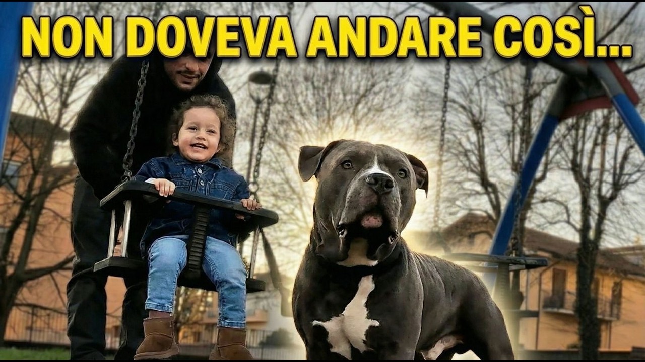 CHI SI DIVERTE DI PIù..?