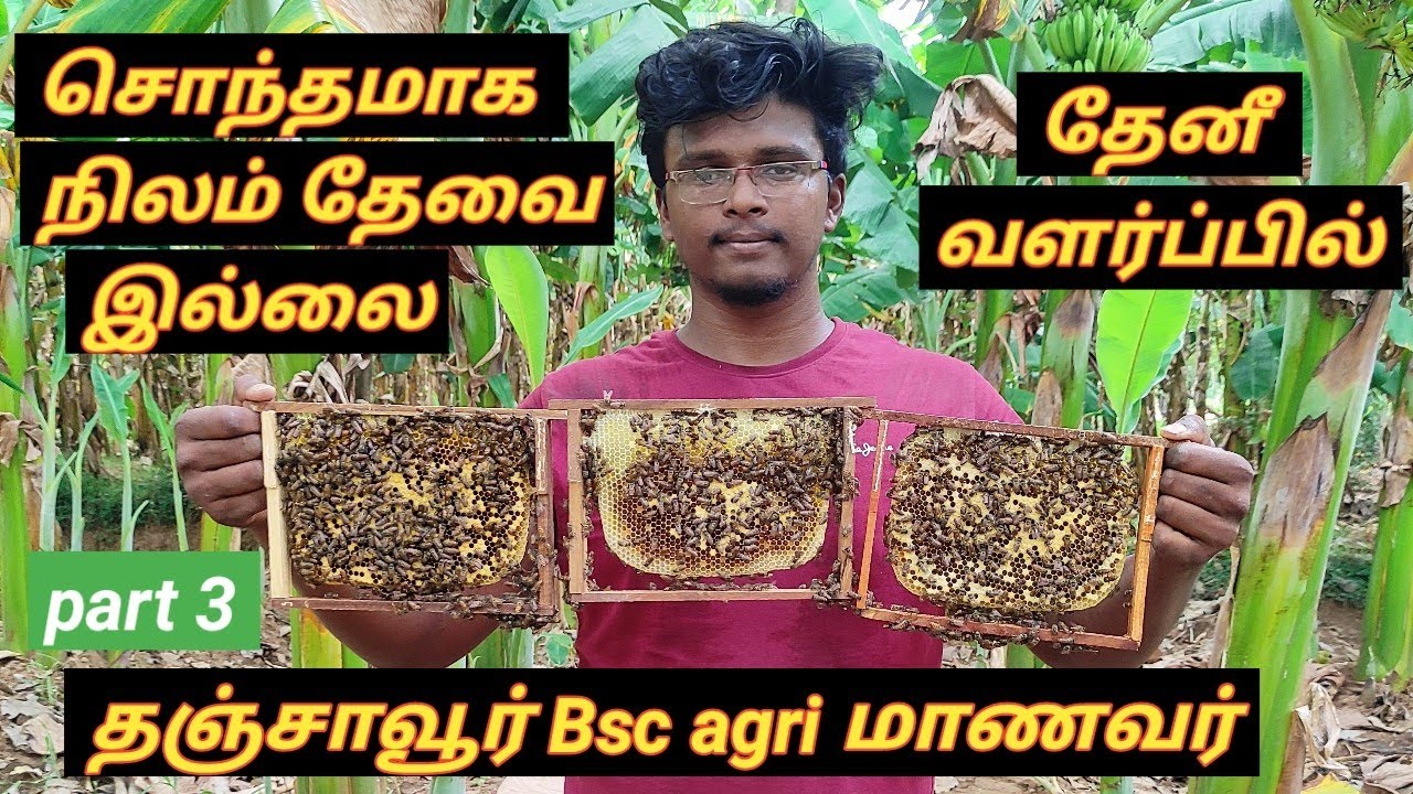 தேனீ வளர்ப்பில் B.sc agri மாணவர்/honey bee rearing done by B.sc agri student /Thanjavur / part 3