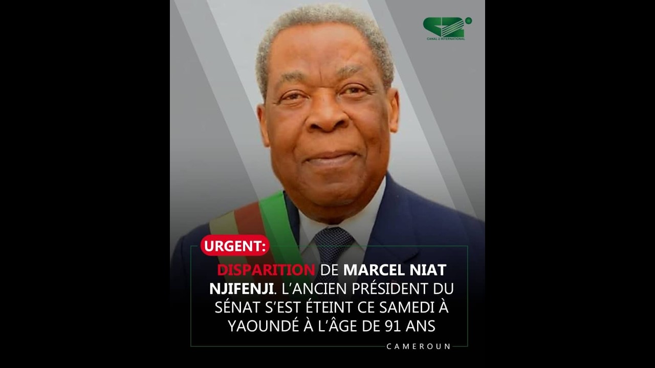 MARCEL NIAT NJIFENJI : L&rsquo;homme qui a allum&eacute; le Cameroun