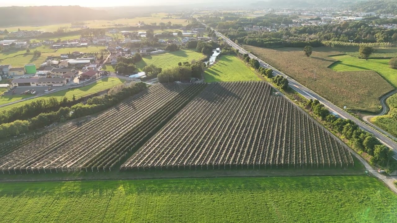 02_10_2025 DJI Flip: Campi Cossato