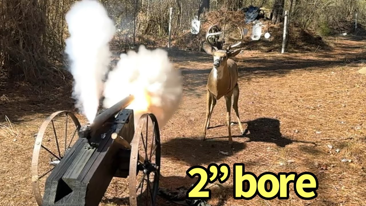 Cannon with LeverGuns 50 