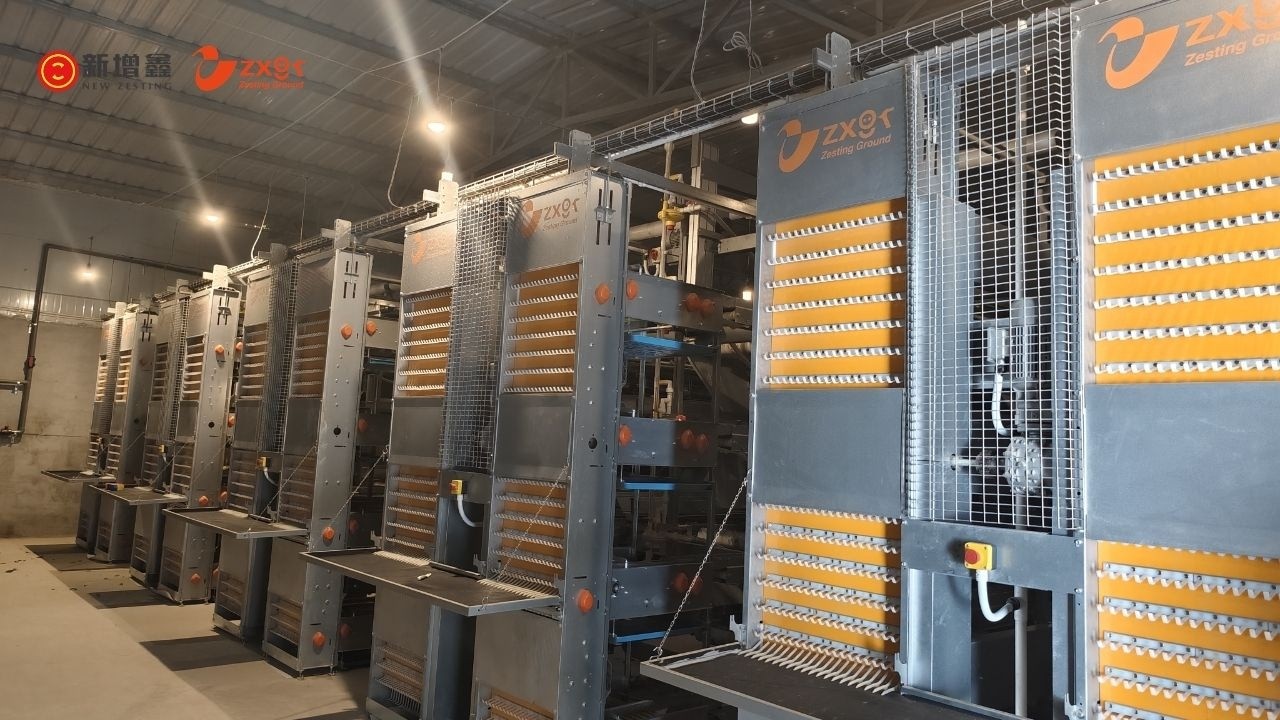 1.3 Million Layer Project Completed | Smart Farming Milestone (2025)