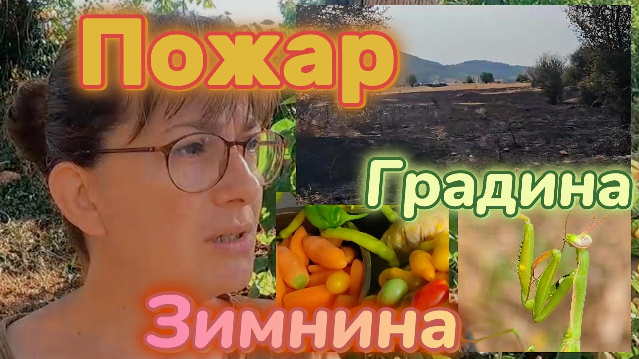 Пожар в селото; Работа из градината; Зимнина; Замразени зеленчуци; Македонска салата.