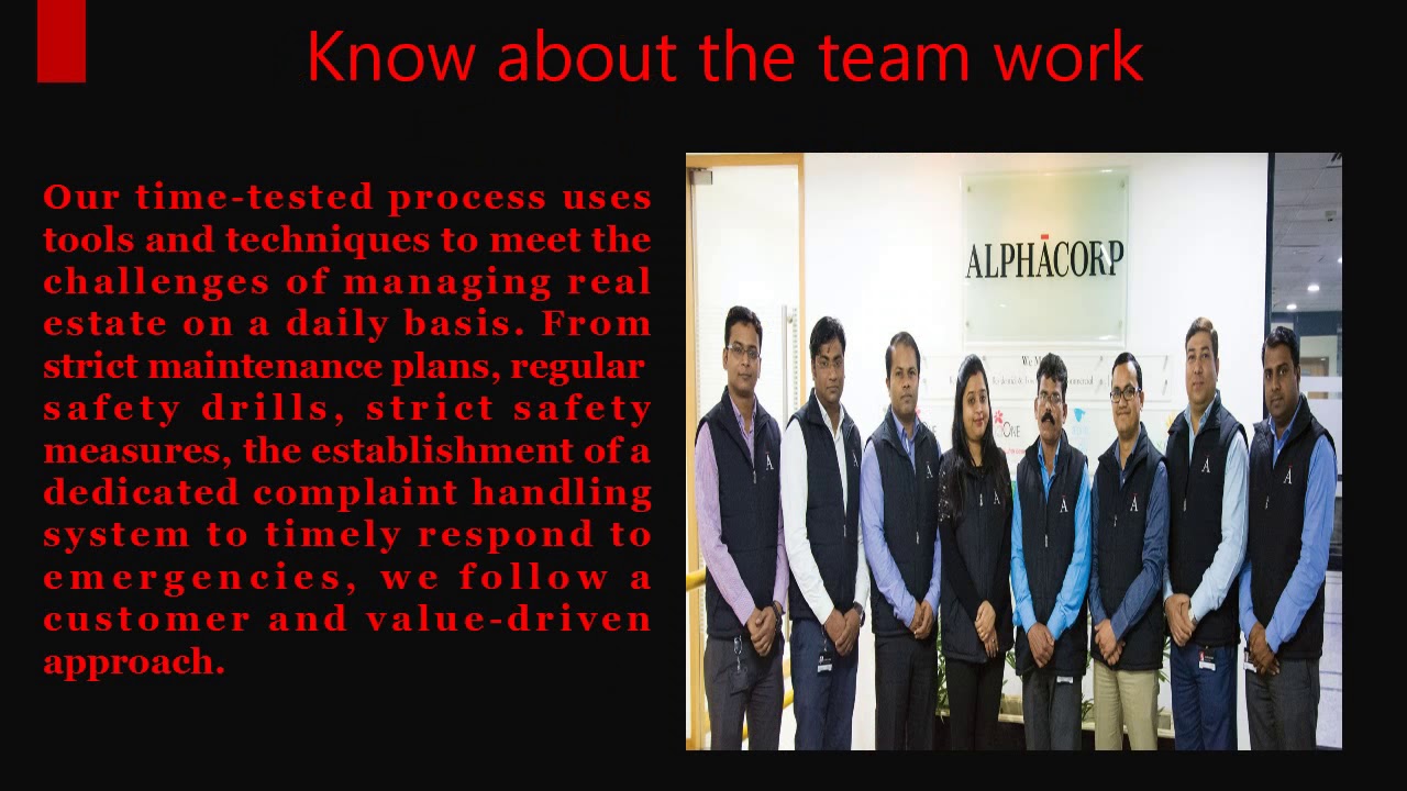 Alpha Corp Services   Top Project Management Consultants