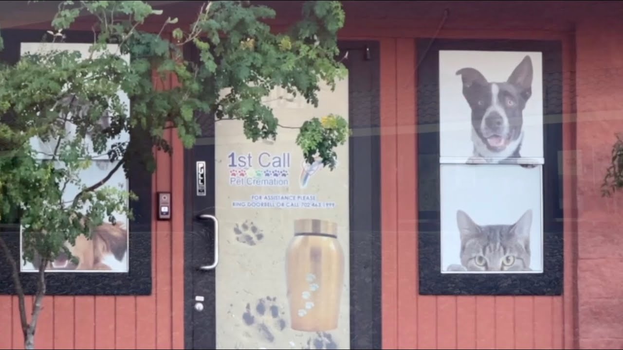 Disturbing trend emerges as troubles at 1st Call Pet Cremations escalate